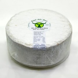 Queso artesano brie de cabra